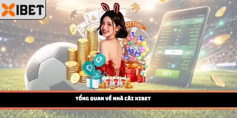 Tổng quan về nhà cái Xibet