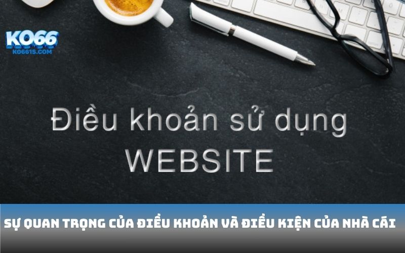 Sự quan trọng của điều khoản và điều kiện của nhà cái