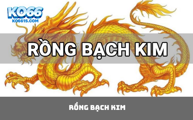 Rồng bạch kim