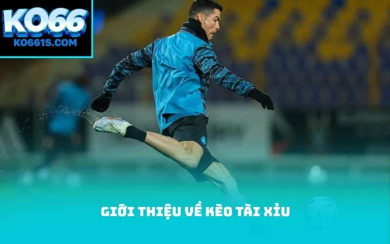 Giới thiệu về kèo Tài Xỉu