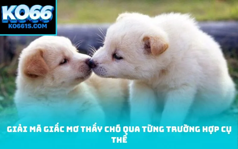 Giải mã giấc Mơ thấy chó qua từng trường hợp cụ thể