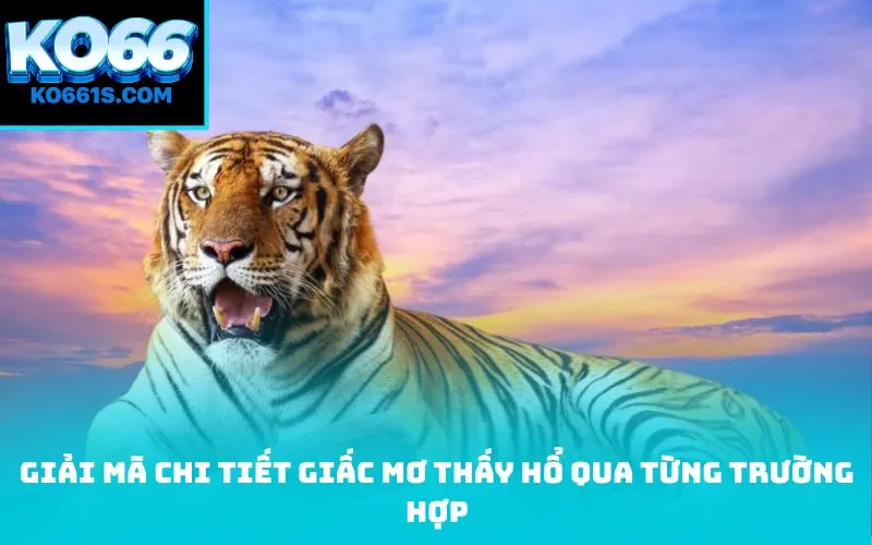 Giải mã chi tiết giấc Mơ thấy hổ qua từng trường hợp