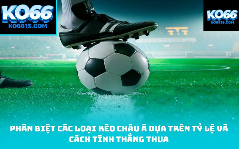 Phân biệt các loại kèo châu Á dựa trên tỷ lệ và cách tính thắng thua