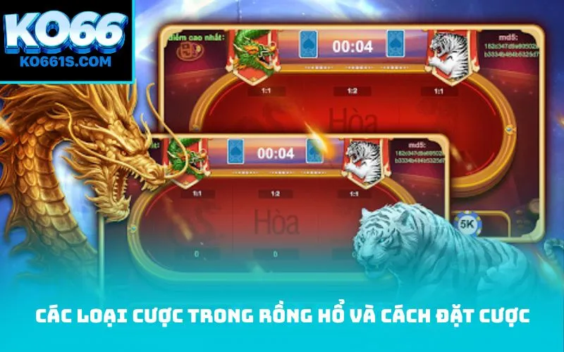 Các loại cược trong Rồng Hổ và cách đặt cược