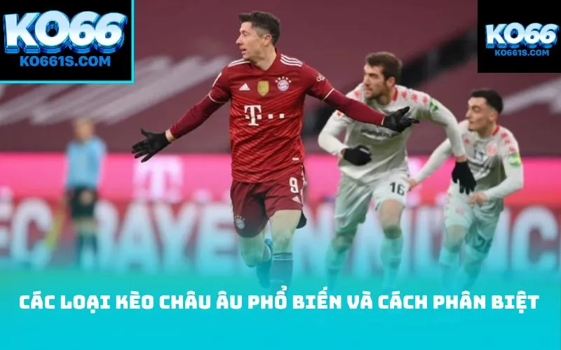 Các loại kèo châu Âu phổ biến và cách phân biệt