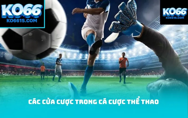 Các cửa cược trong cá cược thể thao