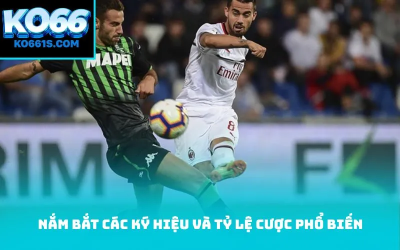 Nắm bắt các ký hiệu và tỷ lệ cược phổ biến