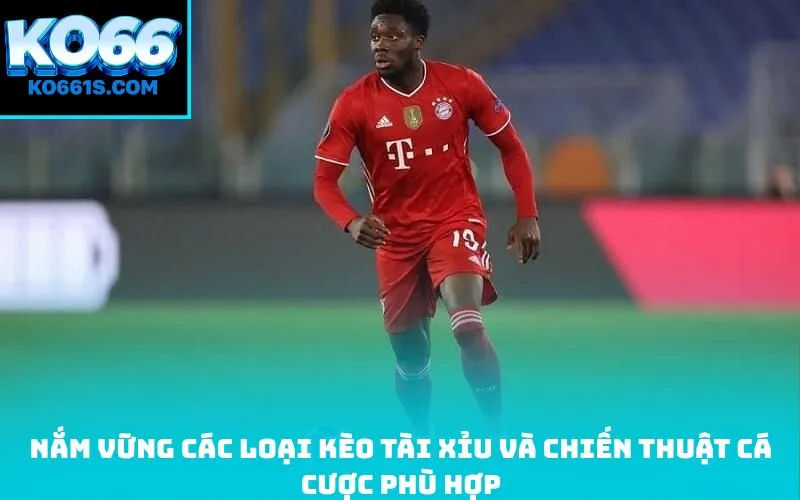 Nắm vững các loại kèo tài xỉu và chiến thuật cá cược phù hợp