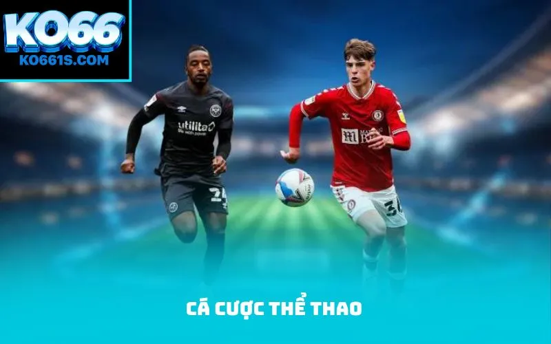 cá cược thể thao