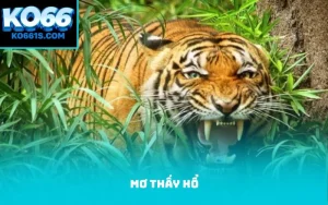 Giấc mơ thấy hổ